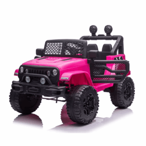 24V Ride On Car Buggy With Remote Control 2 Seater