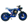 ASTER X9 Electric Dirt Bike 48V 20Ah Off-Road Bike